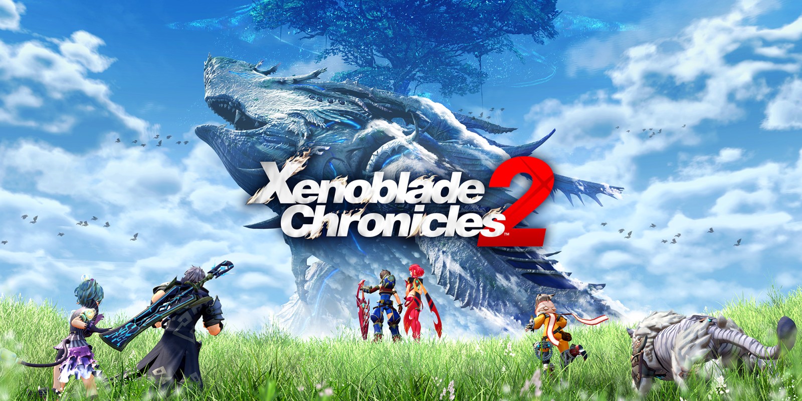 Xenoblade Chronicles 2 ha venduto 1,73 milioni di copie in tutto il mondo